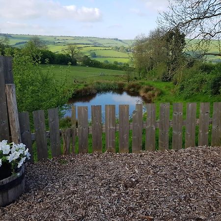 Eco Accommodation Cornflower Craven Arms Buitenkant foto