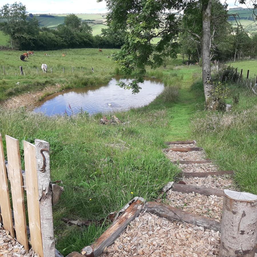 Eco Accommodation Cornflower Craven Arms Buitenkant foto