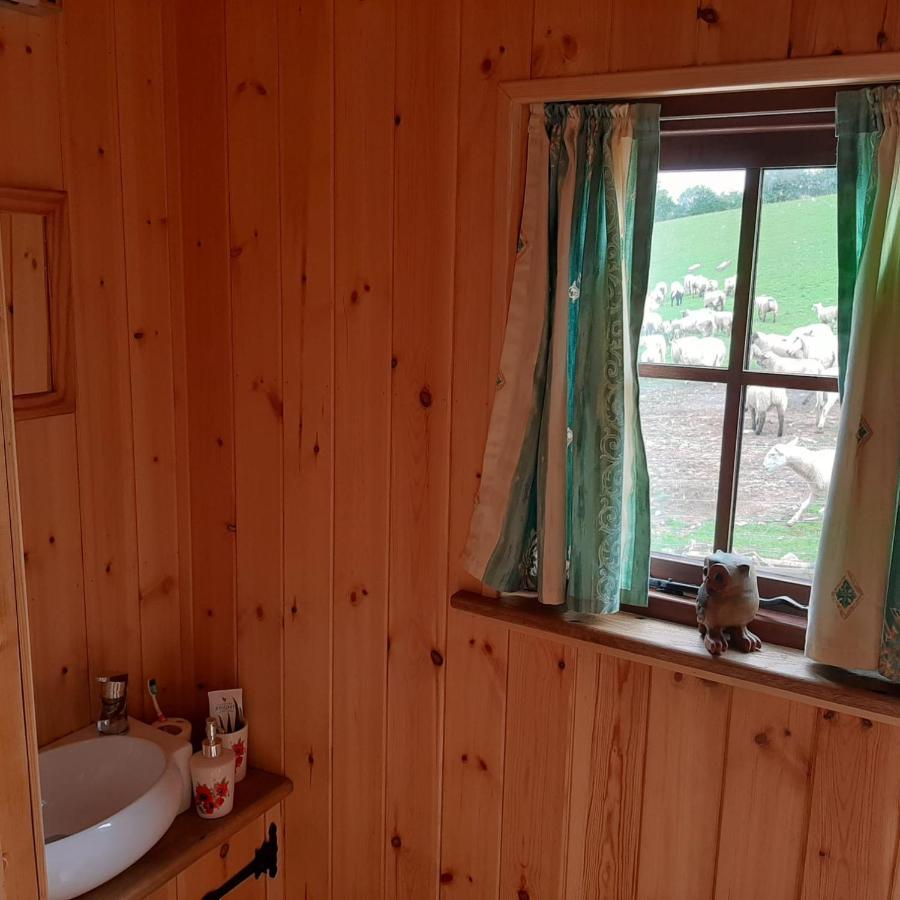 Eco Accommodation Cornflower Craven Arms Buitenkant foto