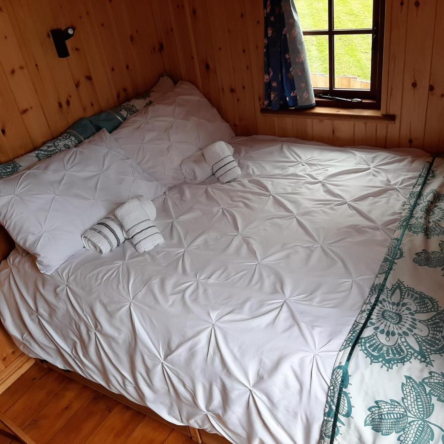 Eco Accommodation Cornflower Craven Arms Buitenkant foto