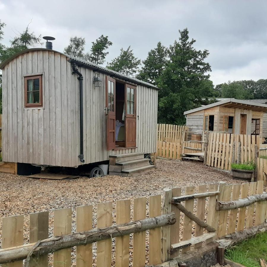 Eco Accommodation Cornflower Craven Arms Buitenkant foto