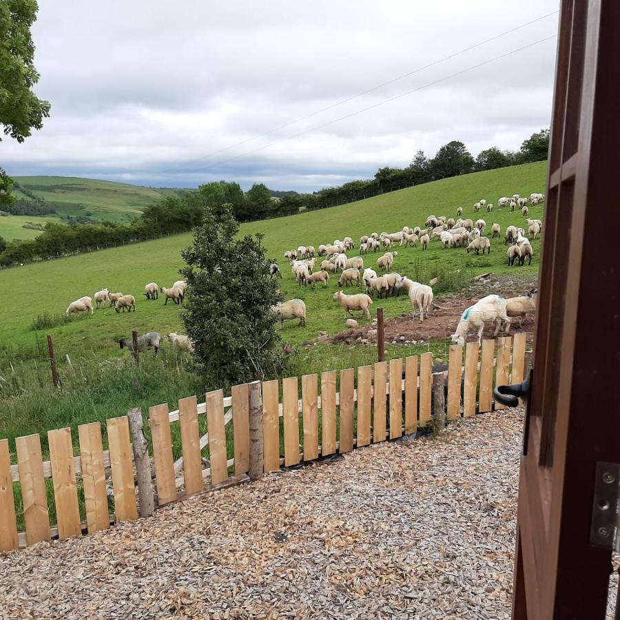 Eco Accommodation Cornflower Craven Arms Buitenkant foto