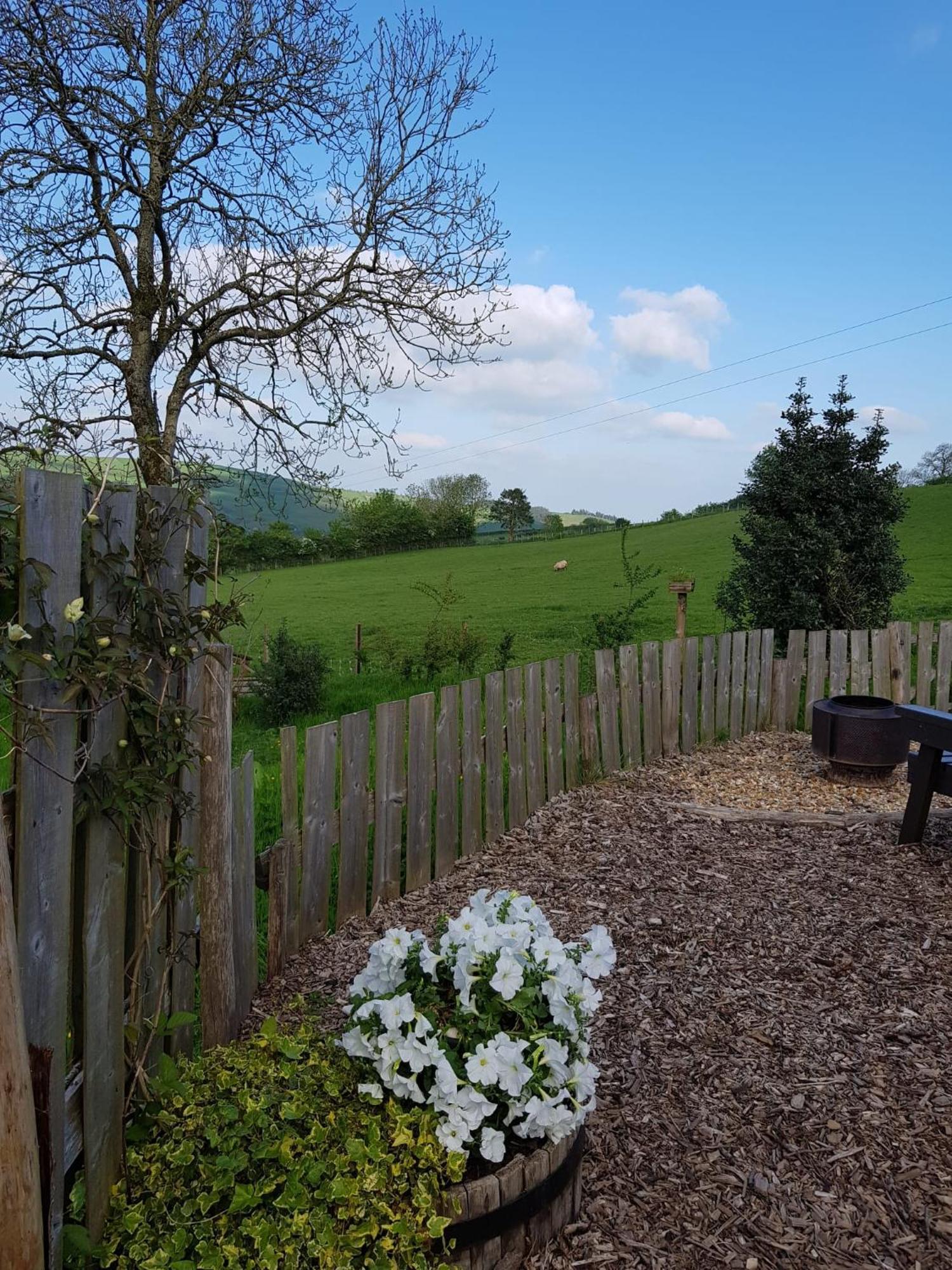 Eco Accommodation Cornflower Craven Arms Buitenkant foto