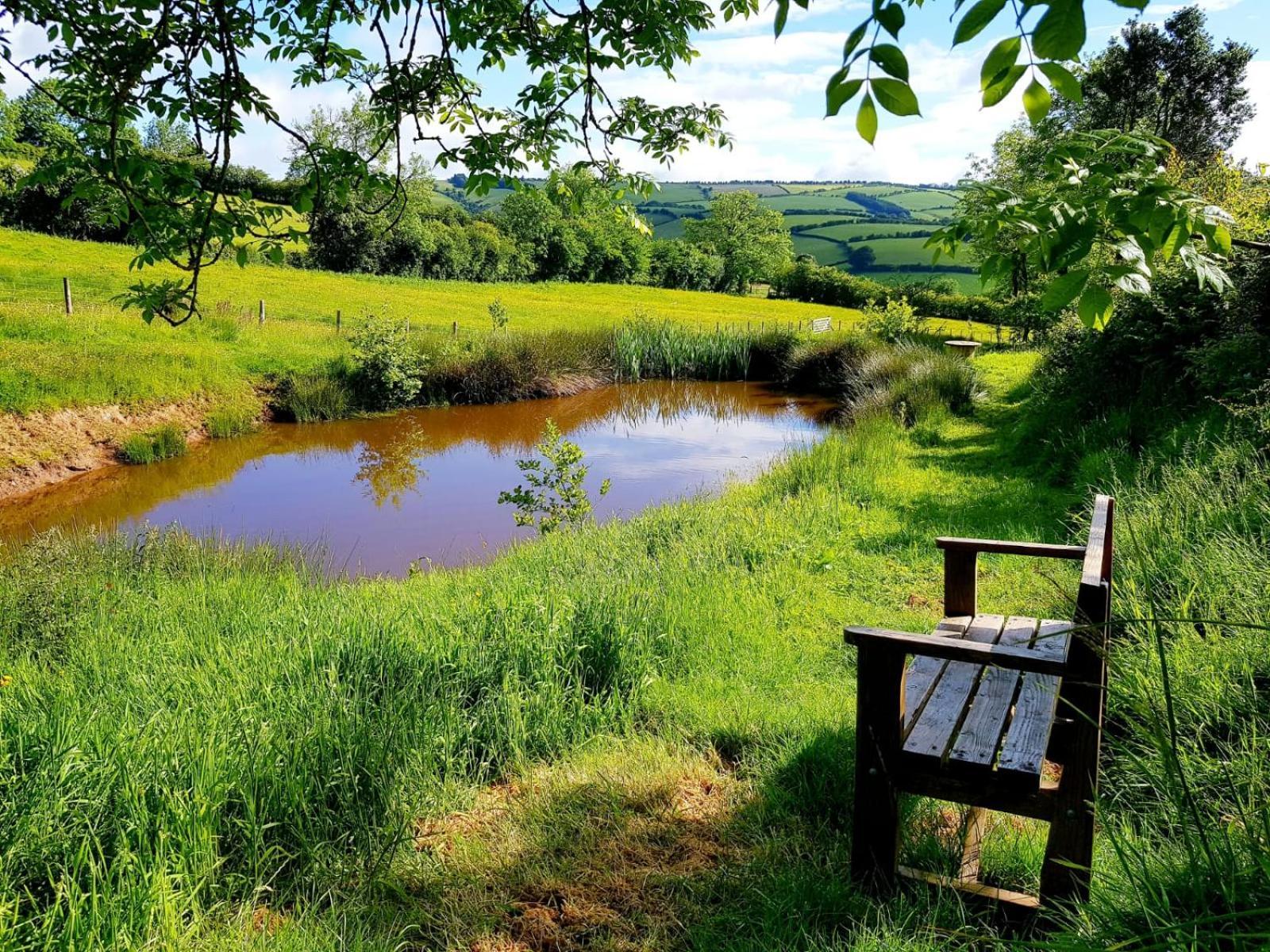 Eco Accommodation Cornflower Craven Arms Buitenkant foto